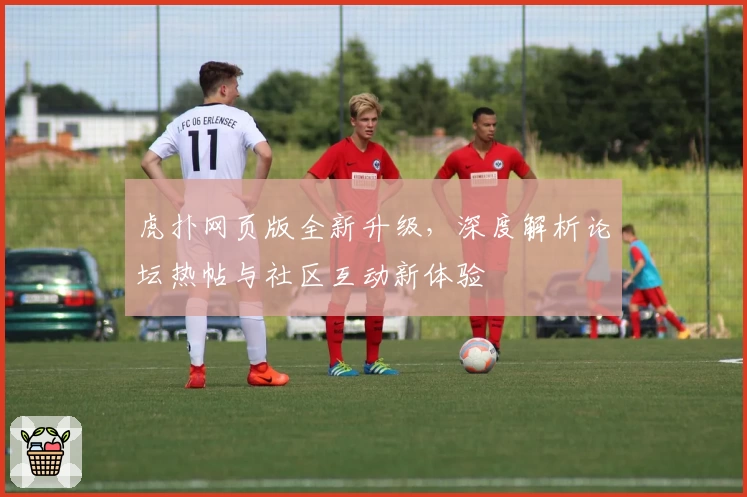 虎扑网页版全新升级，深度解析论坛热帖与社区互动新体验