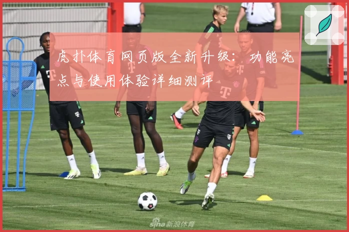虎扑体育网页版全新升级：功能亮点与使用体验详细测评
