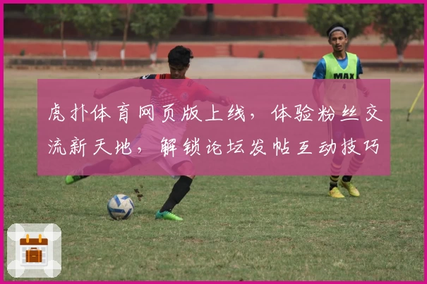 虎扑体育网页版上线，体验粉丝交流新天地，解锁论坛发帖互动技巧