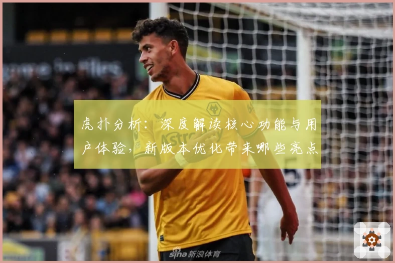 虎扑分析：深度解读核心功能与用户体验，新版本优化带来哪些亮点