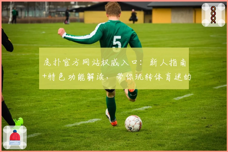虎扑官方网站权威入口：新人指南+特色功能解读，带你玩转体育迷的专属社区